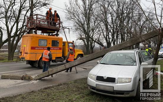 В Кривом Роге легковушка снесла дерево и столб, пострадал водитель