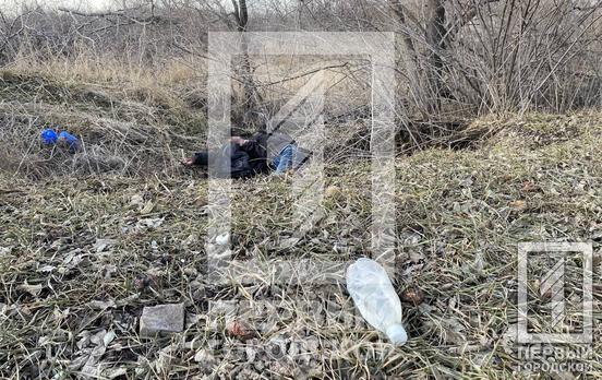 В Кривом Роге нашли обглоданный собаками труп мужчины