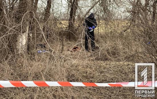 В посадке возле Кривого Рога нашли труп мужчины