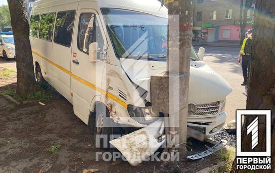 Решил спасти собаку: в Кривом Роге маршрутка врезалась в столб