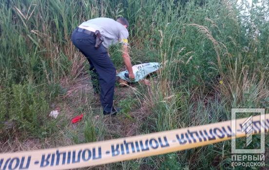 Відпочинок із трагічним фіналом: у водоймі Довгинцівського району Кривого Рогу потонула жінка