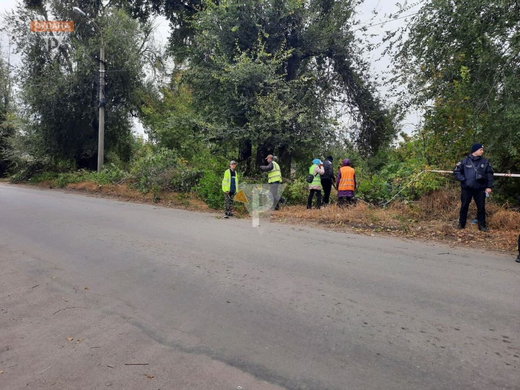 У Кривому Розі в хащах по вулиці Широківській знайшли напіврозкладений труп людини