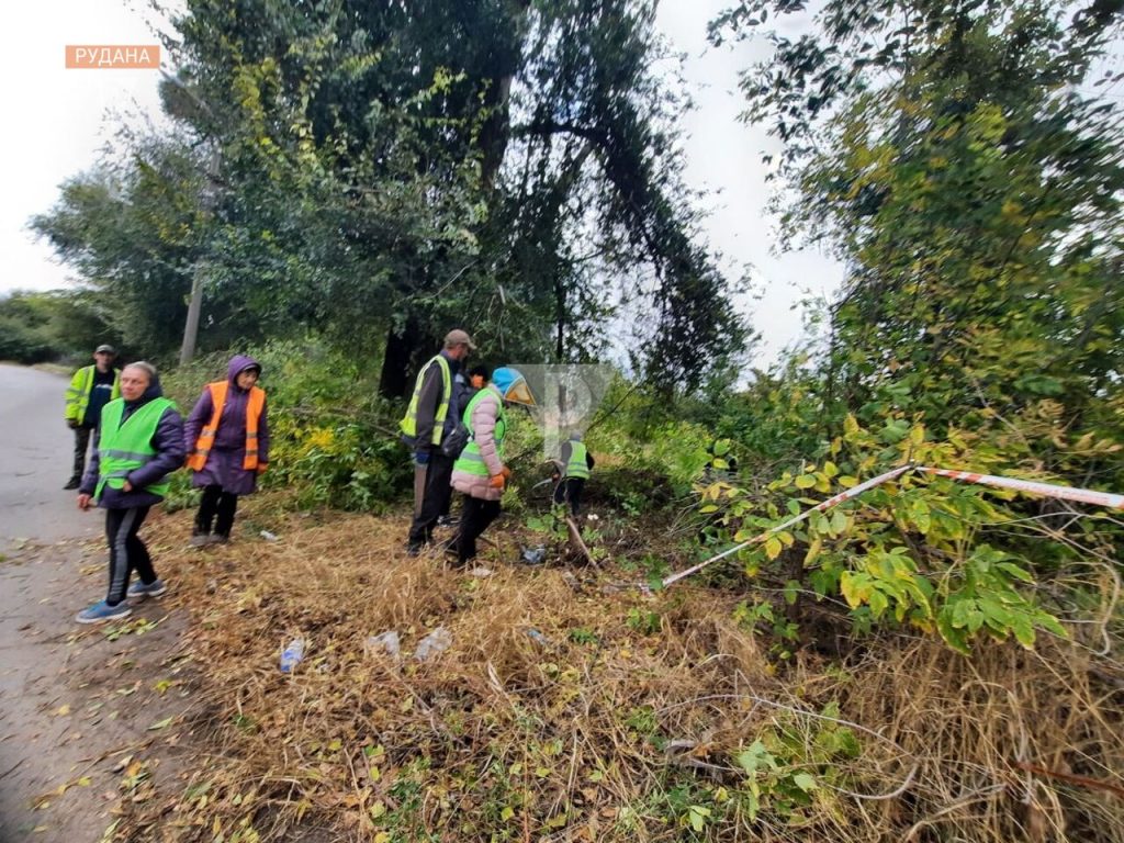 У Кривому Розі в хащах по вулиці Широківській знайшли напіврозкладений труп людини