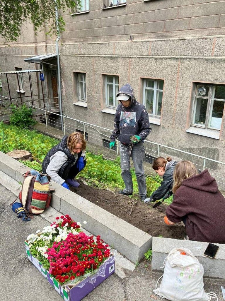 У столиці на честь художниці з Кривого Рогу висадили 31 кущ маргариток (фото)