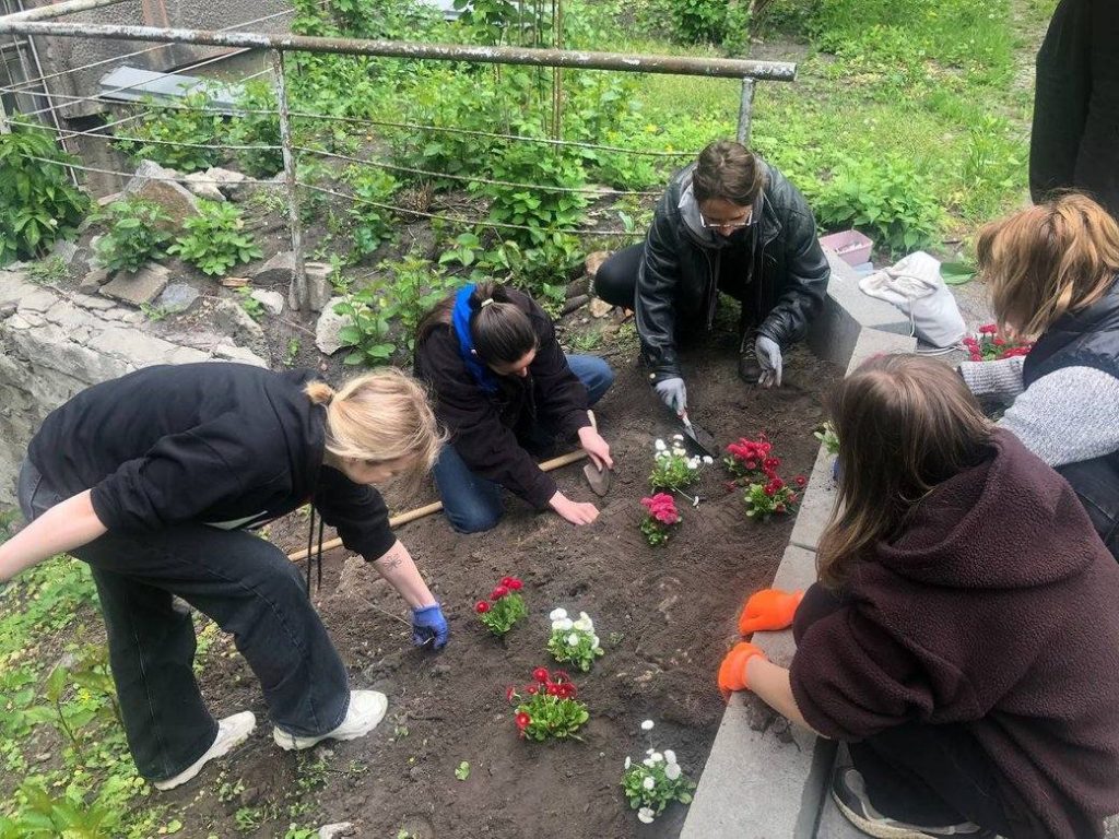 У столиці на честь художниці з Кривого Рогу висадили 31 кущ маргариток (фото)
