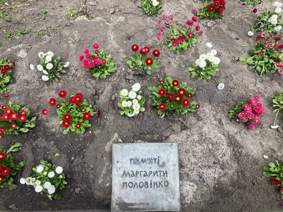 У столиці на честь художниці з Кривого Рогу висадили 31 кущ маргариток (фото)