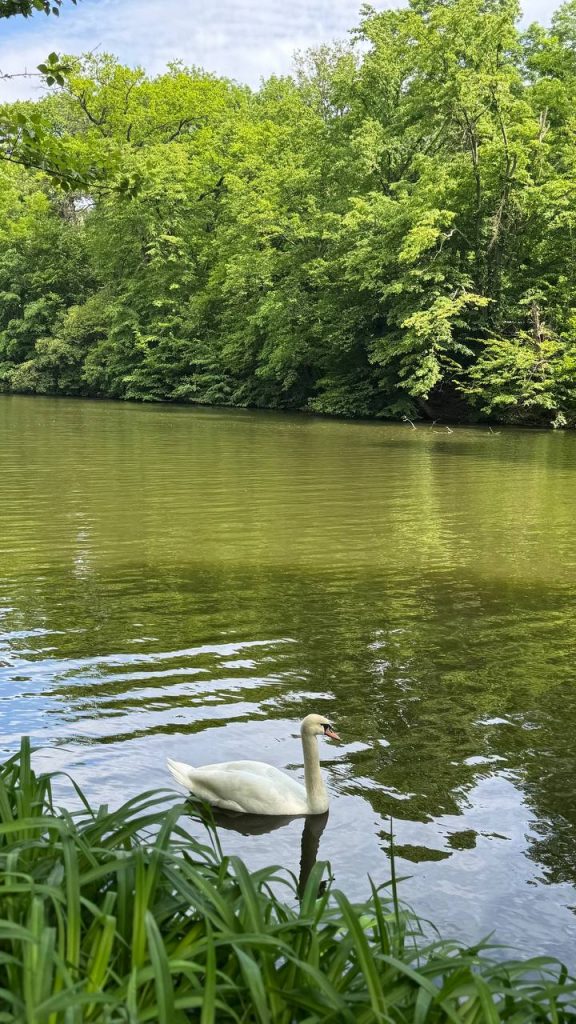 У Кривому Розі за кошти містян проводять аналіз води з річок