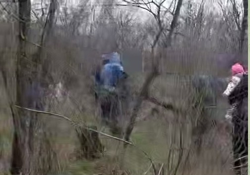 Тривожна дорога: пасажирів поїзда Чернівці – Кривий Ріг евакуювали під час руху (відео)